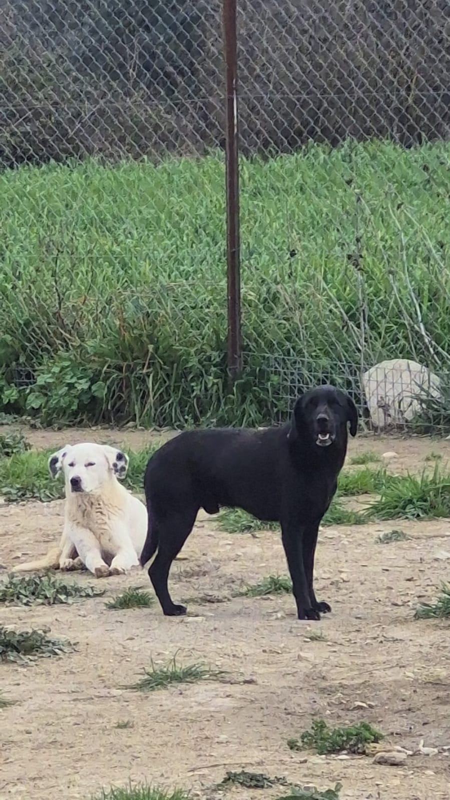 WhatsApp Image 2026-02-26 at 17.50.49