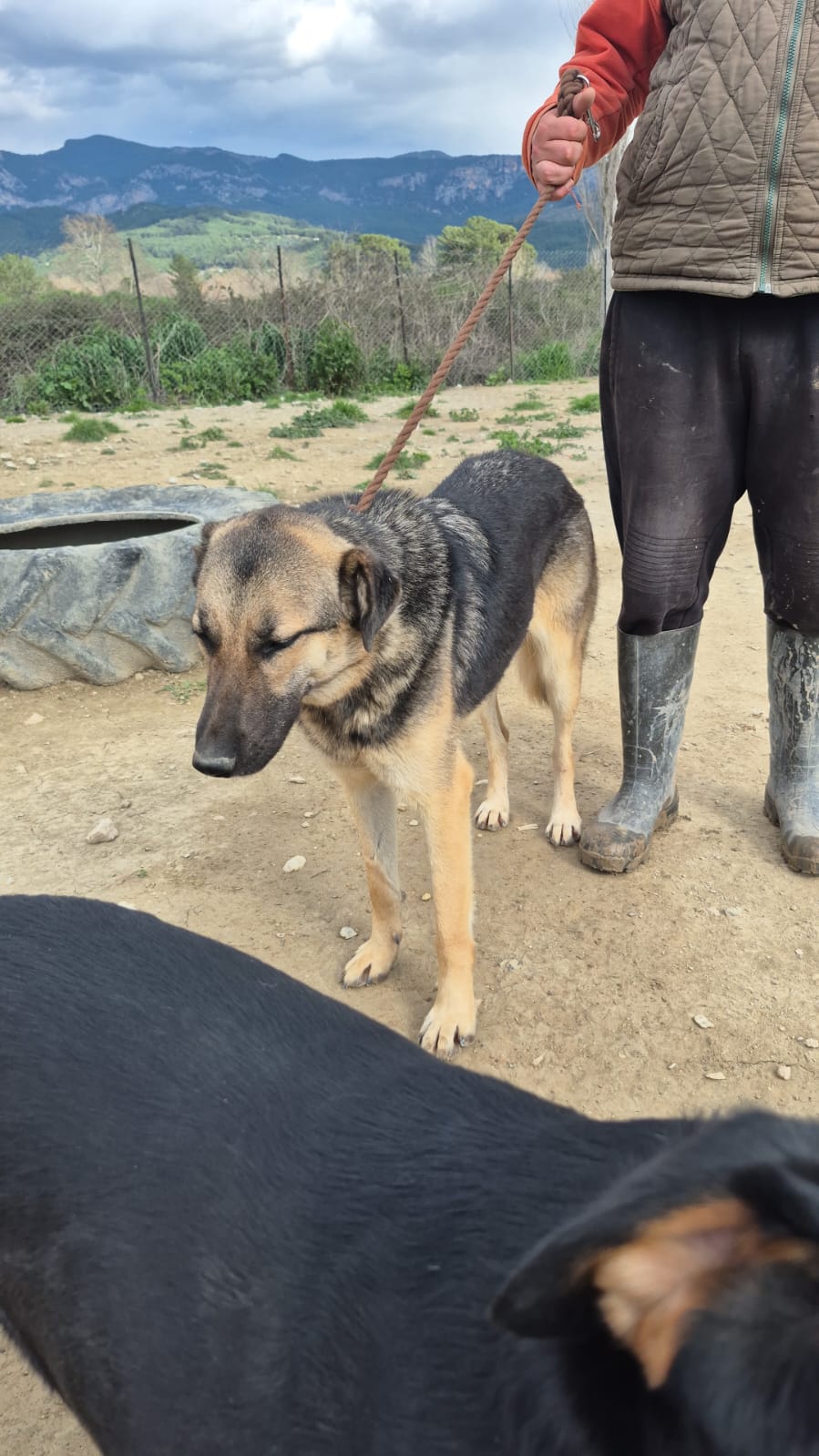 WhatsApp Image 2026-02-26 at 19.09.46 (1)