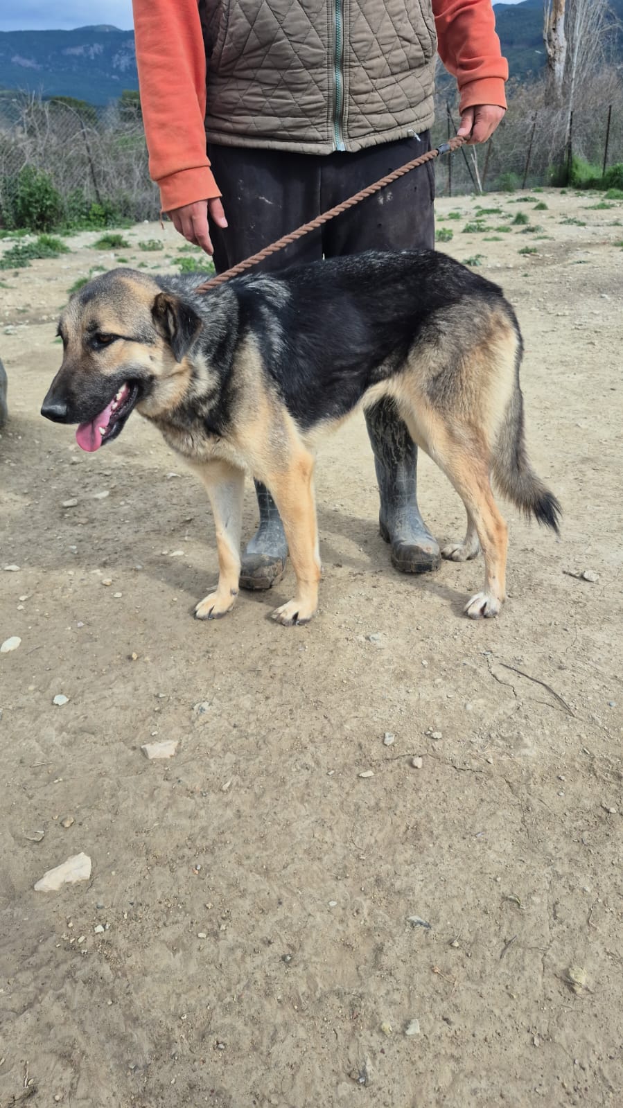 WhatsApp Image 2026-02-26 at 19.09.46 (2)