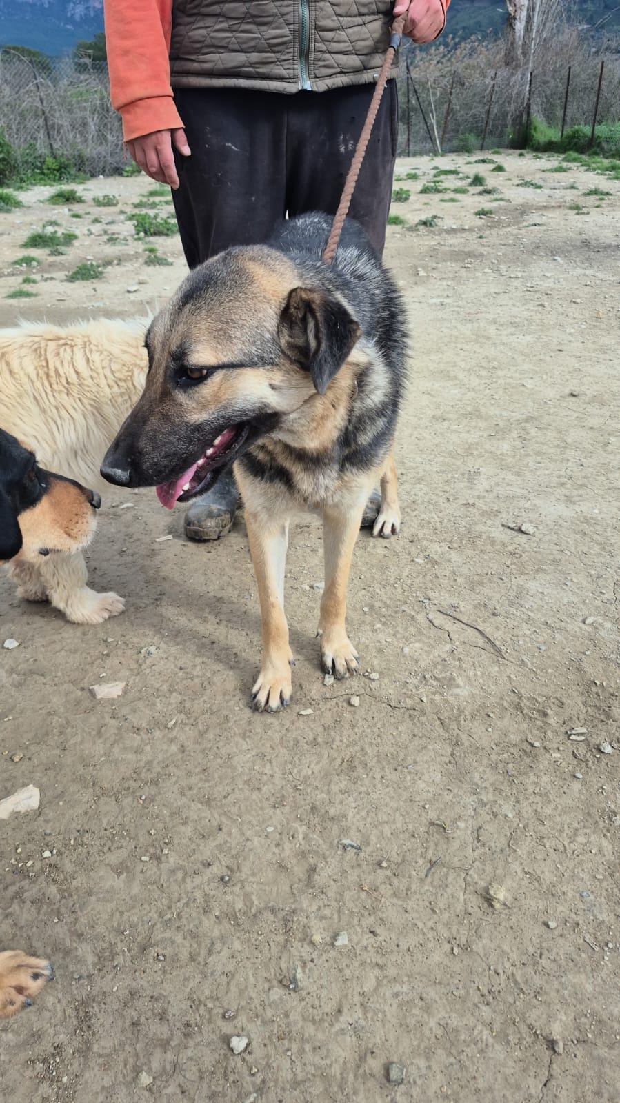 WhatsApp Image 2026-02-26 at 19.09.46 (3)