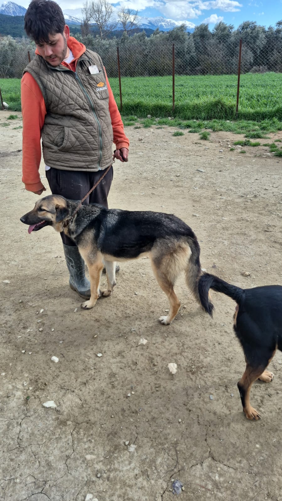 WhatsApp Image 2026-02-26 at 19.09.46