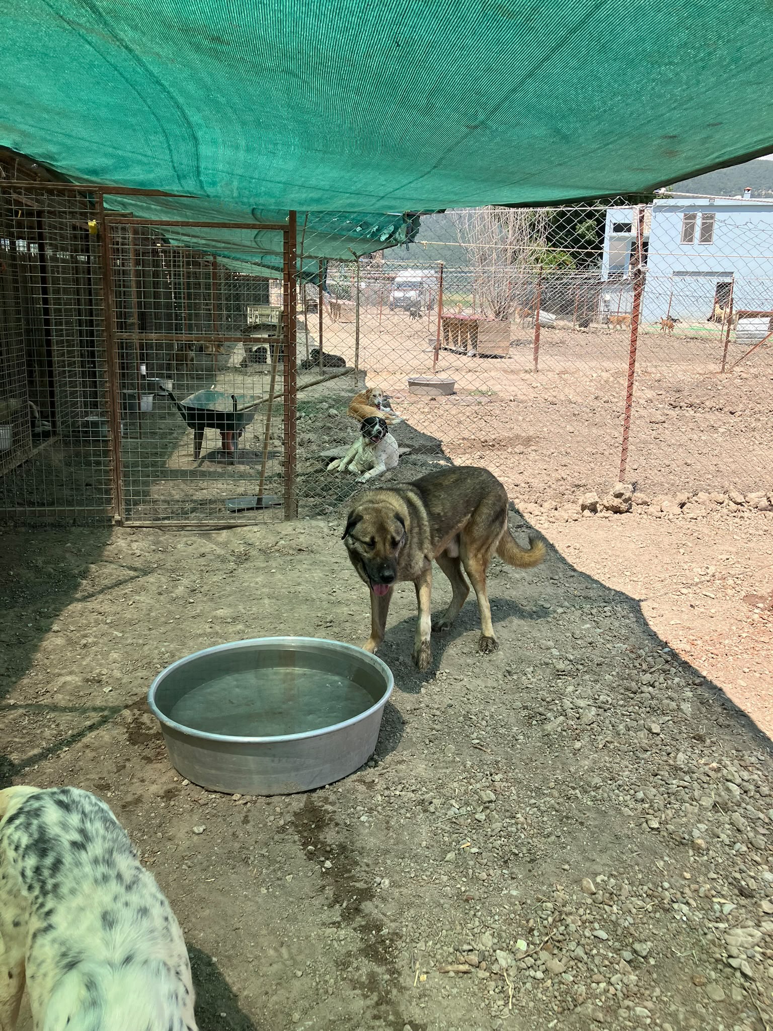 WhatsApp Image 2026-10-18 at 20.23.04 (1)